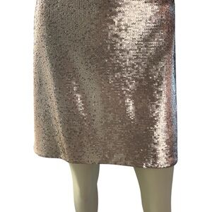 Banana Republic Rose Gold Sequin Silver Skirt Sz 12 (New with Tags)